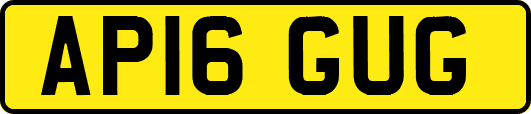AP16GUG