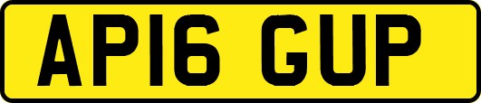 AP16GUP