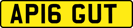 AP16GUT