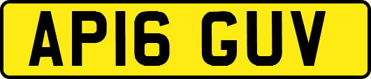 AP16GUV