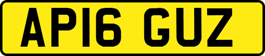 AP16GUZ