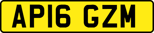 AP16GZM