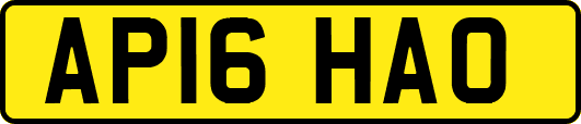 AP16HAO