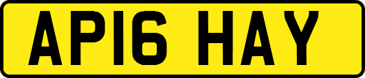 AP16HAY