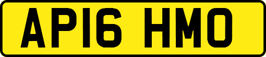 AP16HMO