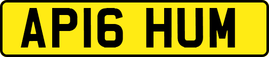 AP16HUM