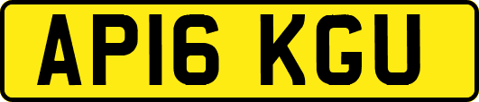 AP16KGU
