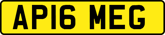 AP16MEG