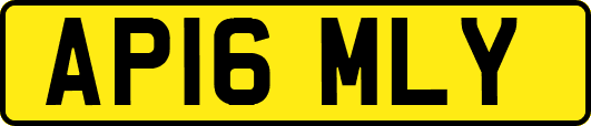 AP16MLY