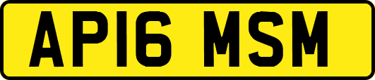AP16MSM