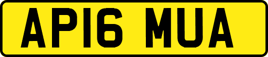 AP16MUA