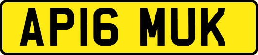 AP16MUK