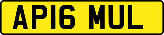 AP16MUL