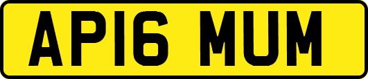 AP16MUM