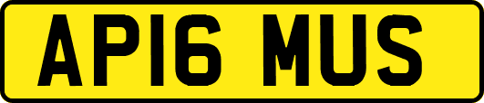 AP16MUS