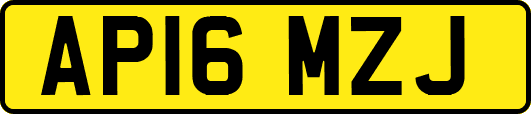 AP16MZJ
