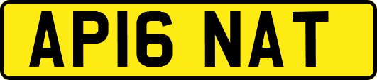 AP16NAT