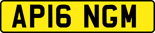 AP16NGM