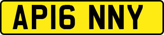AP16NNY