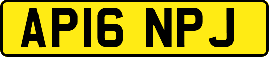 AP16NPJ