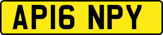 AP16NPY