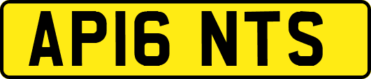 AP16NTS