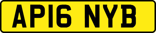 AP16NYB