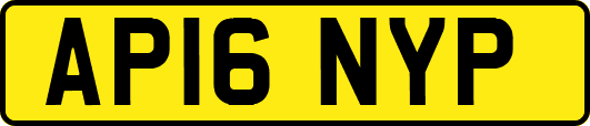AP16NYP