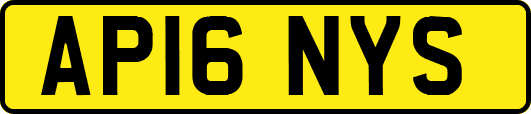 AP16NYS