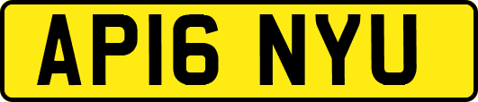 AP16NYU