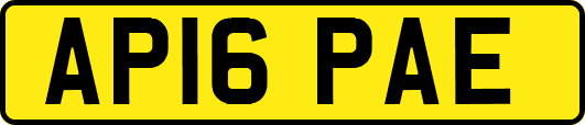 AP16PAE