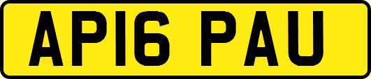 AP16PAU