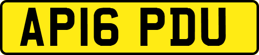 AP16PDU