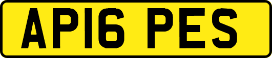 AP16PES