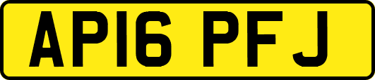 AP16PFJ