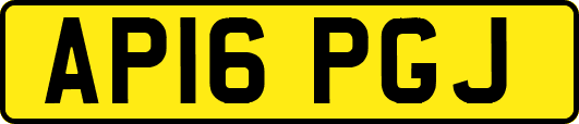 AP16PGJ