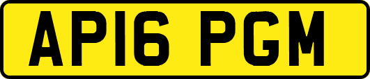 AP16PGM