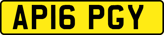 AP16PGY