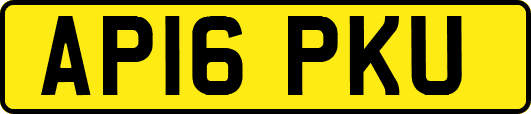 AP16PKU