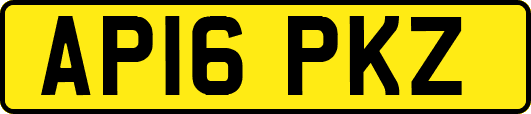 AP16PKZ