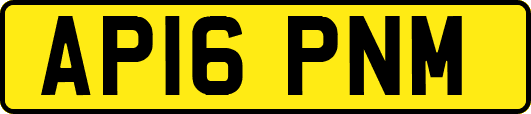 AP16PNM