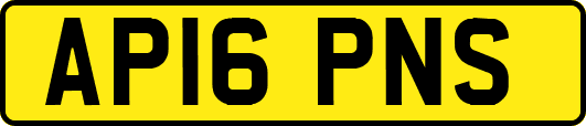 AP16PNS