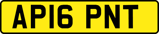 AP16PNT