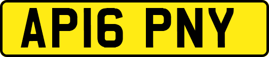 AP16PNY