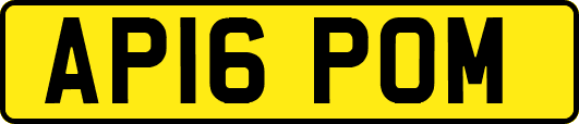 AP16POM