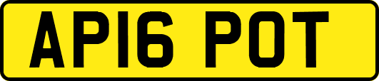 AP16POT