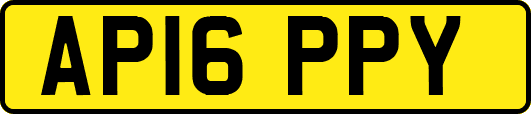 AP16PPY