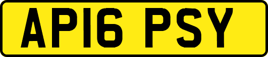 AP16PSY