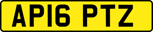 AP16PTZ