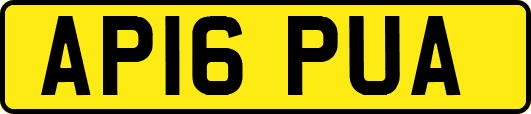 AP16PUA